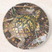 CZ- Box Turtle Onderzetters (Voorkant)