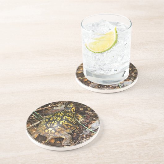 CZ- Box Turtle Onderzetters (Zijkant)