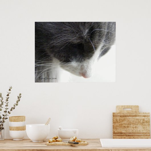 C'zer 1 poster (Keuken)