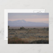 D10 Whitetail doet Sweet en Grass Hills Briefkaart (Voorkant / Achterkant)