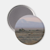 D10 Wit-gerooide Der en zoete Grass Hills Magneet (Voorkant / Achterkant)