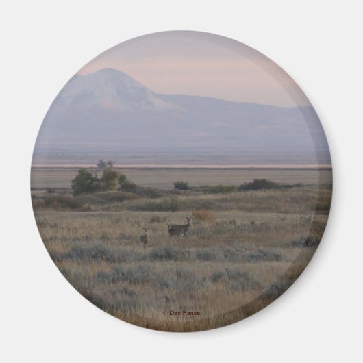 D10 Wit-gerooide Der en zoete Grass Hills Magneet (Voorkant)