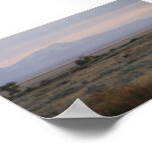 D10 Witstaart Hert Sweet Grass Hills Poster (Hoek)