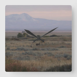 D10 Witstaarthert Sweetgrass Hills Vierkante Klok