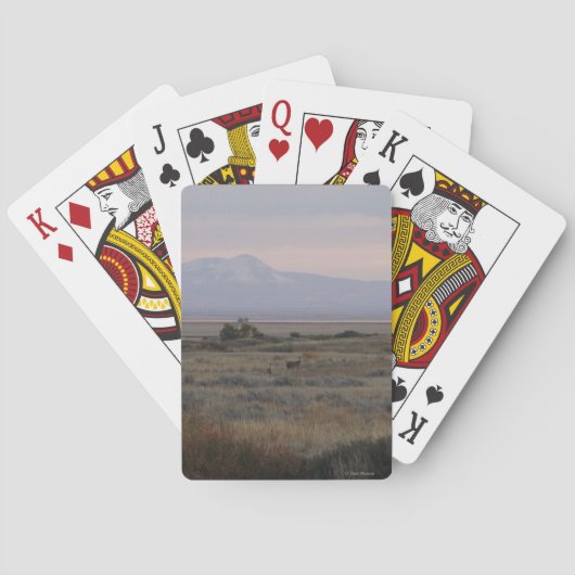 D10 Witstaartherten en Sweet Grass Hills Pokerkaarten (Achterkant)