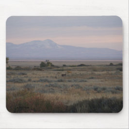 D10 Witstaarthinden en Sweet Grass Hills Muismat