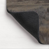 D12 Mule Deer bok en Sweet Grass Hills Muismat (Hoek)
