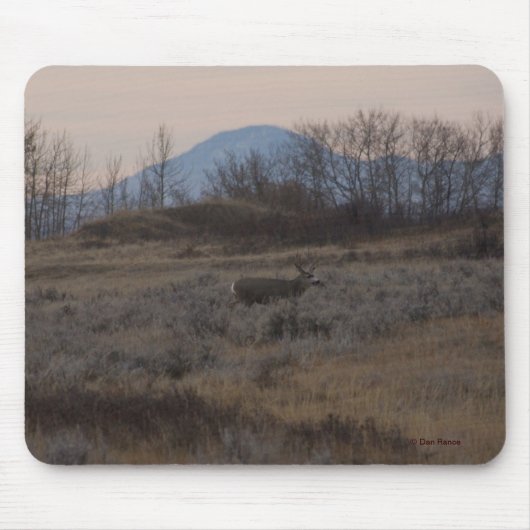 D12 Mule Deer bok en Sweet Grass Hills Muismat (Voorkant)