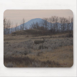 D12 Mule Deer Buck en Sweet Grass Hills Muismat