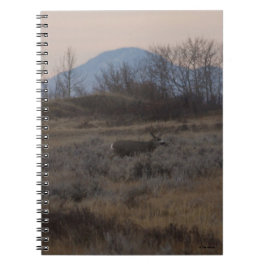 D12 Mule Deer Buck en Sweet Grass Hills Notitieboek