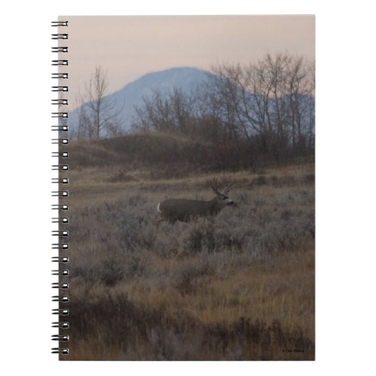 D12 Mule Deer Buck en Sweet Grass Hills Notitieboek (Voorkant)