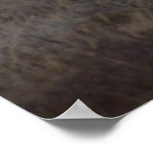 D12 Mule Deer Buck en Sweet Grass Hills Poster (Hoek)