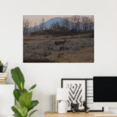 D12 Mule Deer Buck en Sweet Grass Hills Poster (Thuiskantoor)