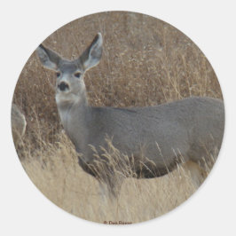 D14 Muildier Doe Ronde Sticker