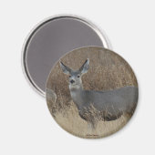 D14 Muildierhinde Magneet (Voorkant / Achterkant)