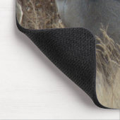 D14 Muildierhinde Muismat (Hoek)