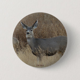 D14 Muildierhinde Ronde Button 5,7 Cm