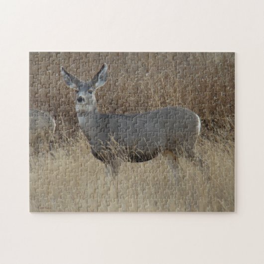 D14 Mule Deer Doe Legpuzzel (Horizontaal)