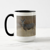 D14 Mule Deer Doe Mok (Links)