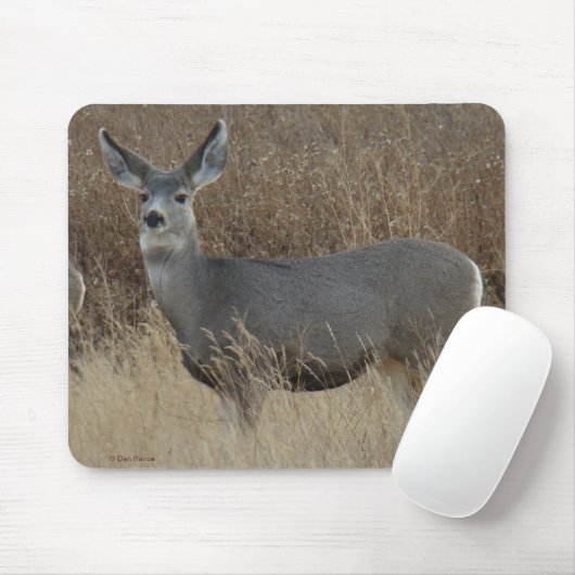 D14 Mule Deer Doe Muismat (Met muis)
