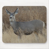 D14 Mule Deer Doe Muismat (Voorkant)