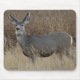 D14 Mule Deer Doe Muismat