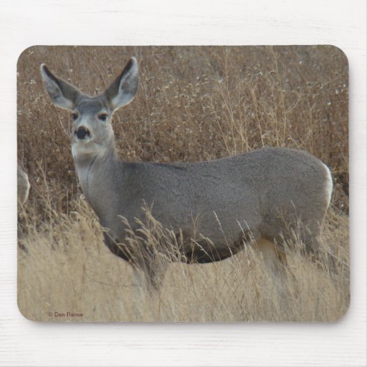D14 Mule Deer Doe Muismat (Voorkant)