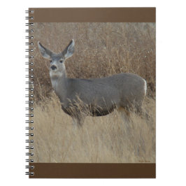 D14 Mule Deer Doe Notitieboek