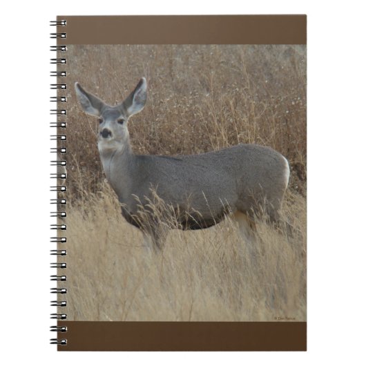 D14 Mule Deer Doe Notitieboek (Voorkant)