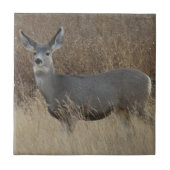 D14 Mule Deer Doe Tegeltje (Voorkant)