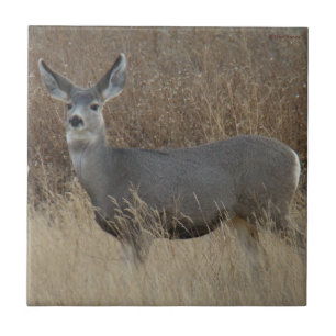 D14 Mule Deer Doe Tegeltje