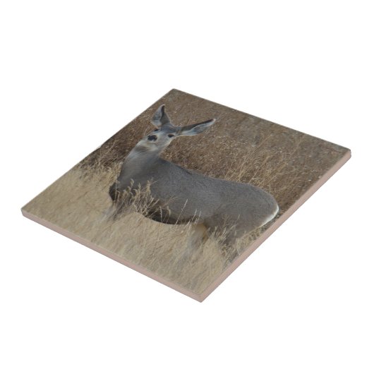 D14 Mule Deer Doe Tegeltje (Zijkant)