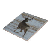 D15 Mule Deer Buck Tegeltje (Zijkant)