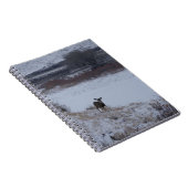 D16 Mule Deer Doe in de vallei Notitieboek (Rechterzijde)