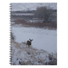 D16 Mule Deer Doe in de vallei Notitieboek