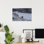 D16 Mule Deer Doe in de vallei Poster (Thuiskantoor)