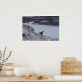 D16 Mule Deer Doe in de vallei Poster (Keuken)