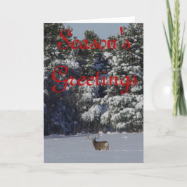 D17 de Bok van de Herten van de Muilezel in de Feestdagen Kaart