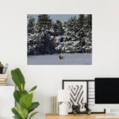 D17 Mule Deer Buck in Snowy SpruceTrees Poster (Thuiskantoor)