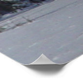 D17 Mule Deer Buck in Snowy SpruceTrees Poster (Hoek)