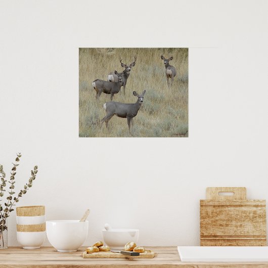 D18 Muildier Poster (Keuken)