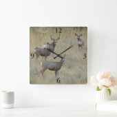 D18 Muildier Vierkante Klok (Huis)