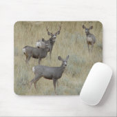 D18 Mule droger Muismat (Met muis)