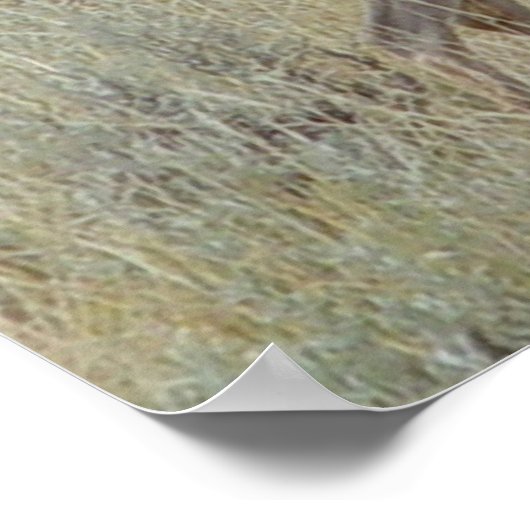 D18 Mule droger Poster (Hoek)