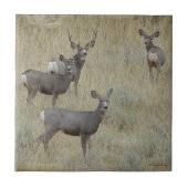 D18 Mule-reeks Tegeltje (Voorkant)