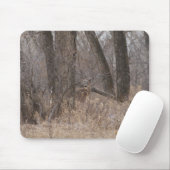 D1 Wit-getaileerd deer in katoenbomen Muismat (Met muis)