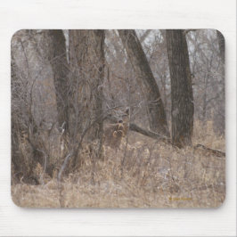 D1 Wit-getaileerd deer in katoenbomen Muismat