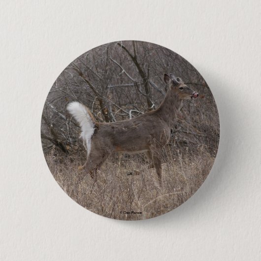 D1 Witstaart Herten Ronde Button 5,7 Cm (Voorkant)