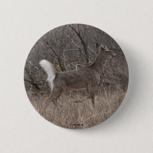 D1 Witstaart Herten Ronde Button 5,7 Cm