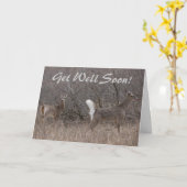 D1 Witstaartdeer Spring Bucks in Cottonwood Kaart (Gele Bloem)